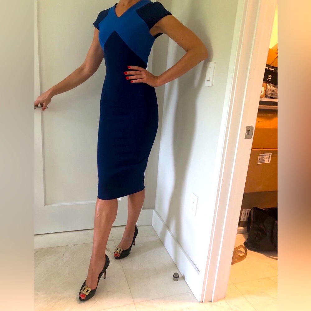 ( 70% OFF) Victoria Beckham Full Zip Bodycon Dress. Size 4